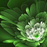 45 HD Green Wallpapers/Backgrounds For Free Download