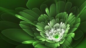 45 HD Green Wallpapers/Backgrounds For Free Download